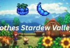 clothes stardew valley