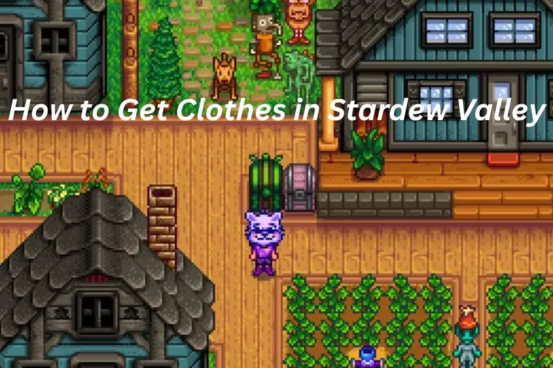 how to get clothes in stardew valley