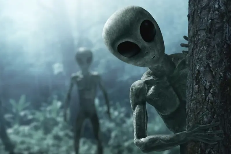 why baby aliens capture attention