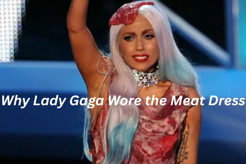 why lady gaga wore the meat dress