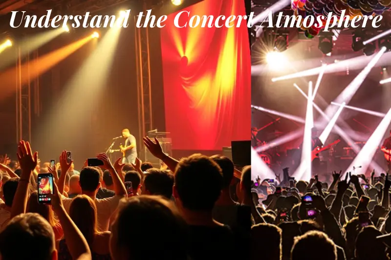 understand the concert atmosphere