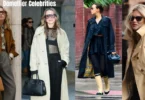 demellier celebrities
